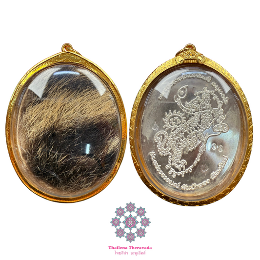 古巴傍蝕2561食人虎