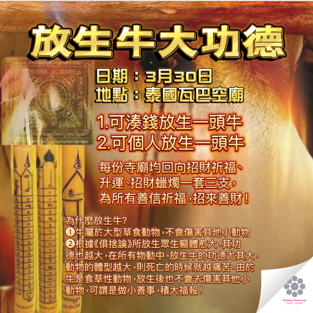 5月31日🔸放生牛大功德