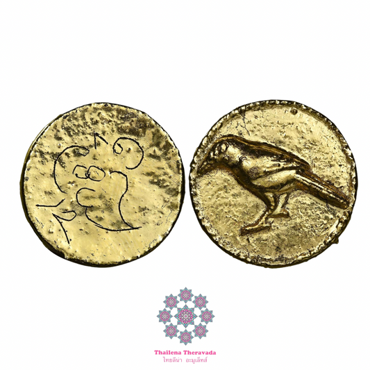 古巴api哇一期🔸金鳥舌法藥