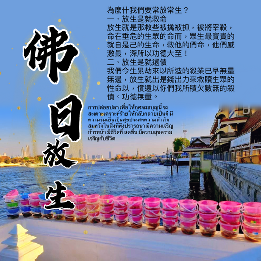 泰國湄南河放生 (每月其中一個佛日)