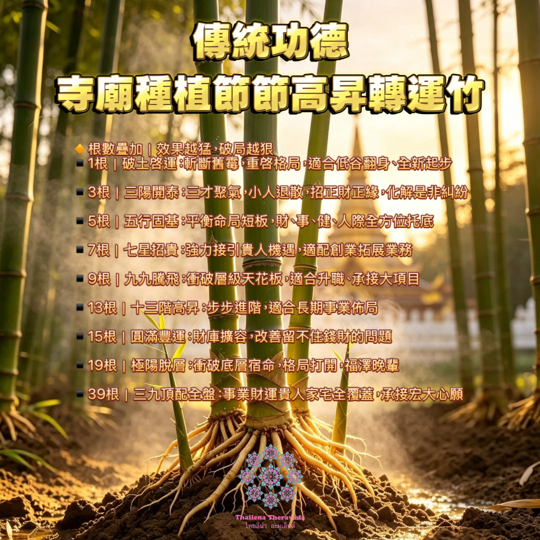 9月19日🔸泰國傳統功德🔸寺廟種植節節高昇轉運竹