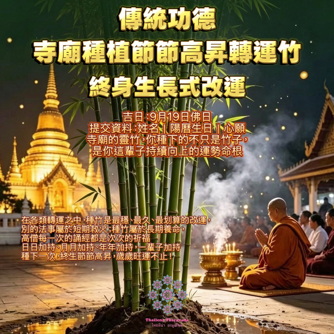 9月19日🔸泰國傳統功德🔸寺廟種植節節高昇轉運竹