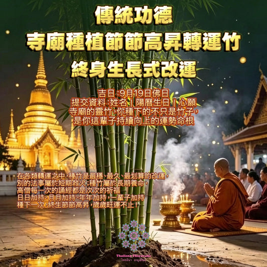9月19日🔸泰國傳統功德🔸寺廟種植節節高昇轉運竹