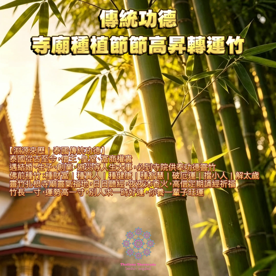9月19日🔸泰國傳統功德🔸寺廟種植節節高昇轉運竹