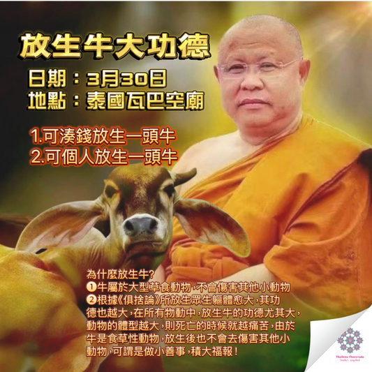5月1日🔸放生牛大功德