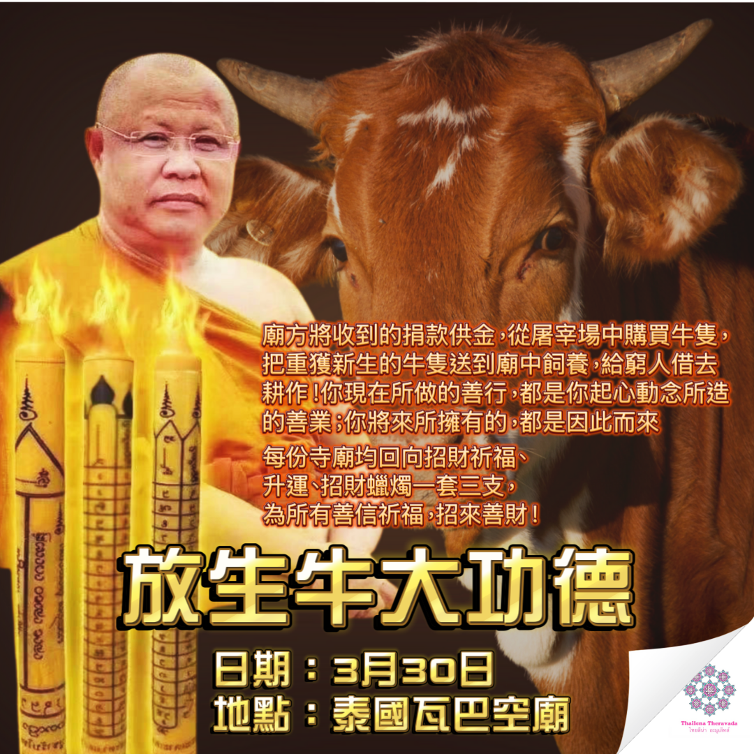 5月31日🔸放生牛大功德